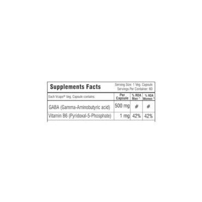 Traxgenics GABA with P5P, 60 Capsules