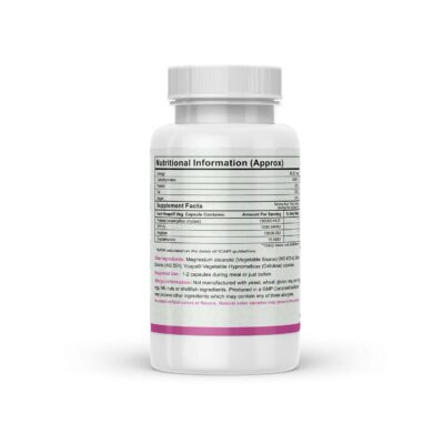 Autoimmunity Care Wheat Digest Care, Gluten Digest Support, 60 Veg Capsules