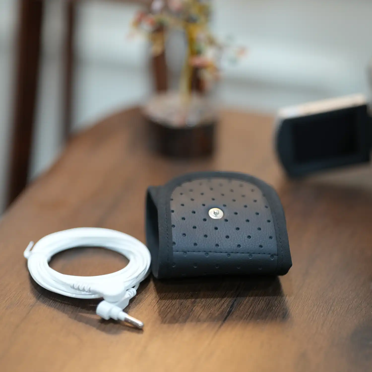 TerreNue’s Earthing Wrist Band